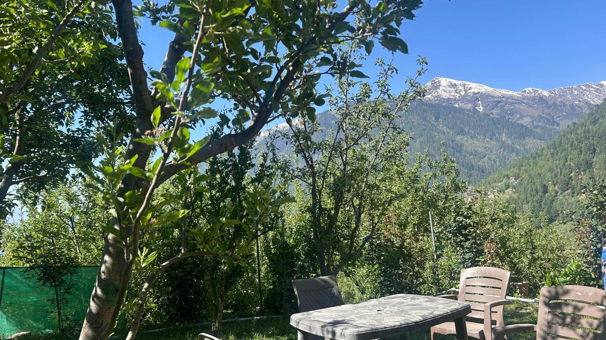 Sunface Homestay Manāli Zewnętrze zdjęcie